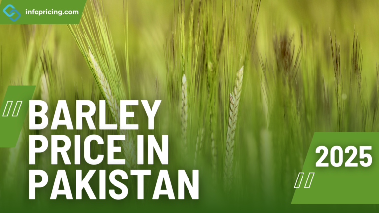 Barley Price In Pakistan