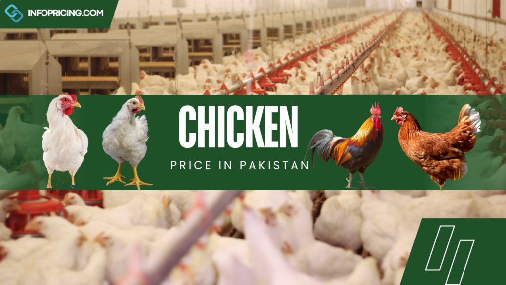 Chicken Price In Pakistan