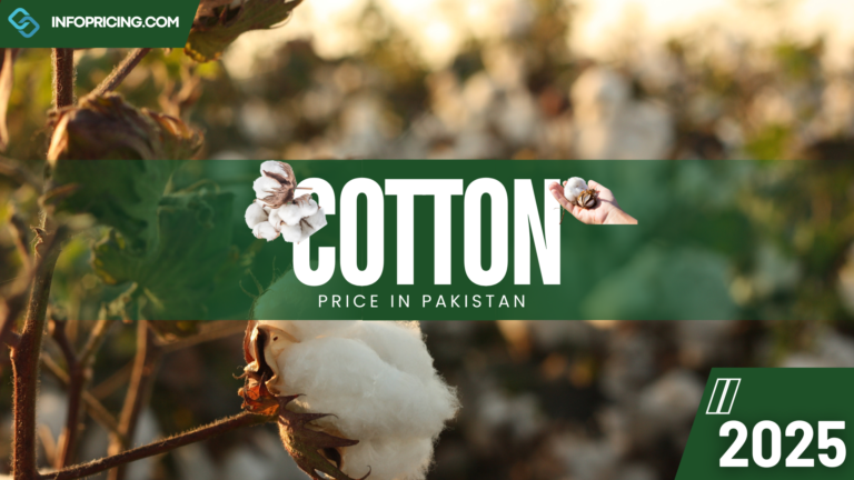 Cotton Price In Pakistan