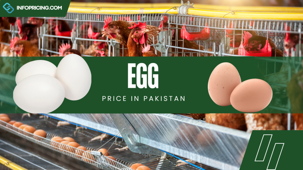 Egg Price in Pakistan