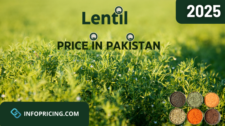 Lentil Price In Pakistan | January 2025