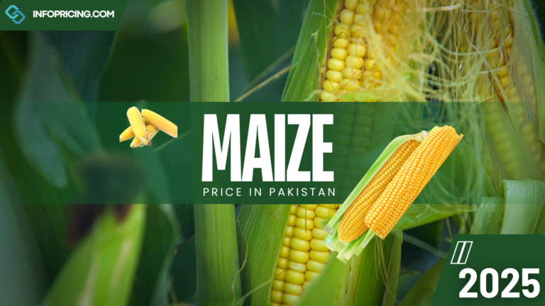 Maize Price in Pakistan