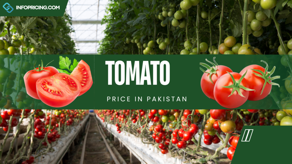 Tomato Price in Pakistan