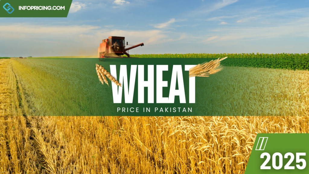 wheat price in Pakistan | January 2025