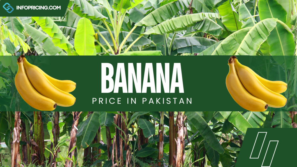 Banana Price in Pakistan