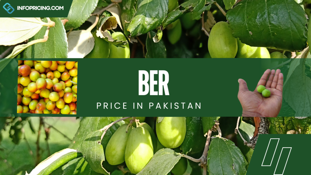 Ber Price In Pakistan