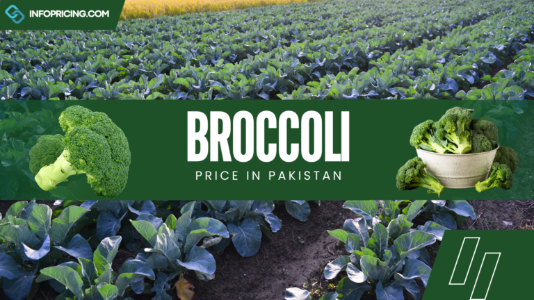 Broccoli Price in Pakistan