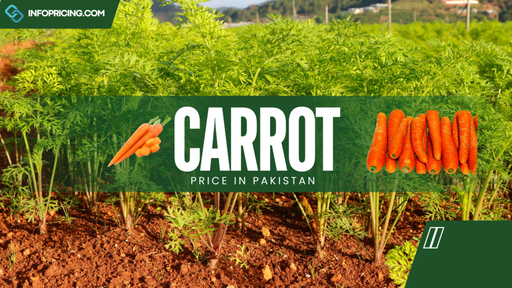 Carrot Price in Pakistan