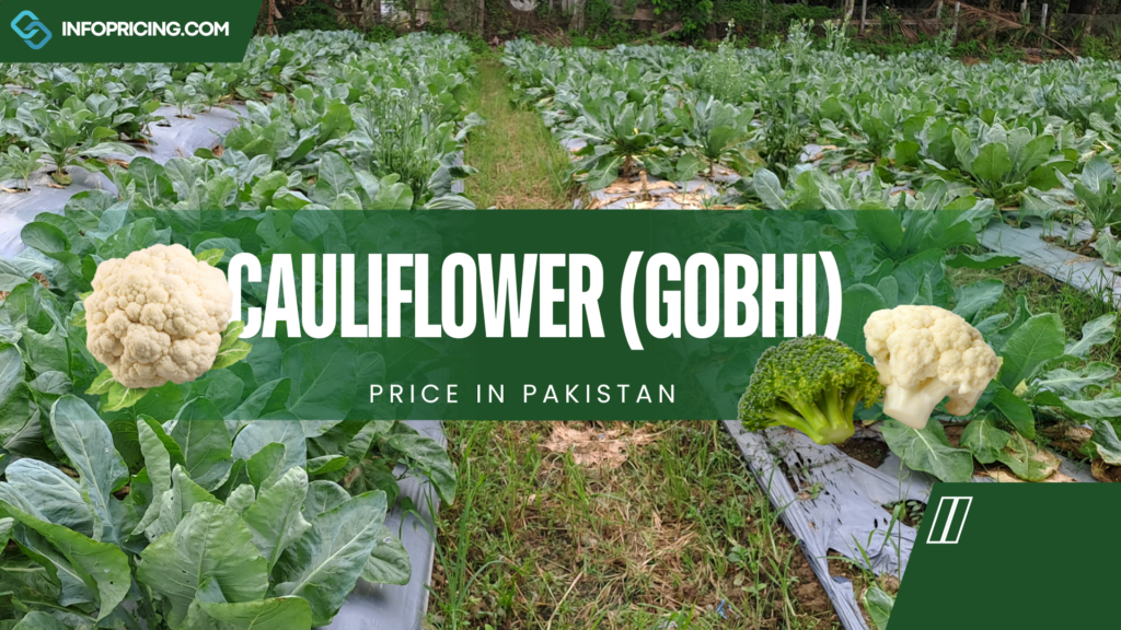 Cauliflower Price in Pakistan