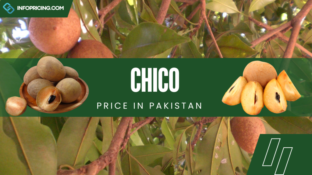 Chico Price in Pakistan