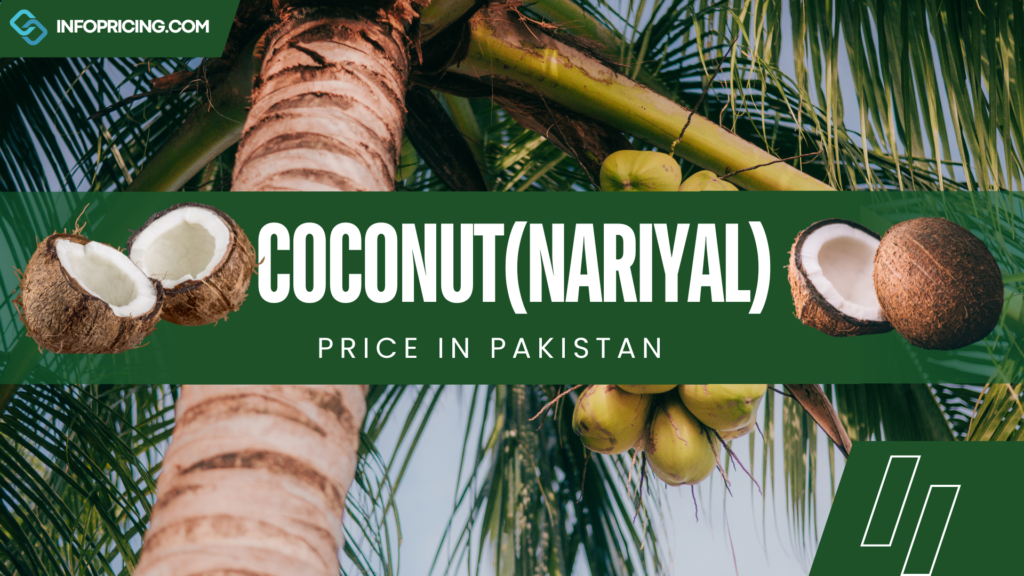 Coconut Price In Pakistan