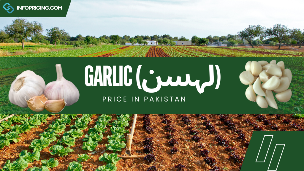 Garlic Price In Pakistan