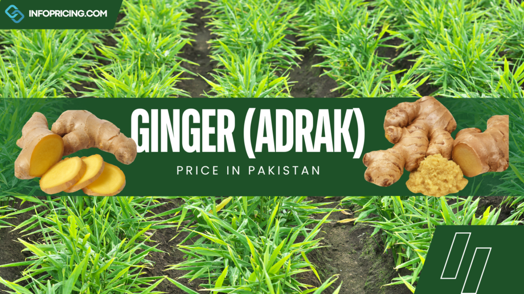 Ginger Price in Pakistan