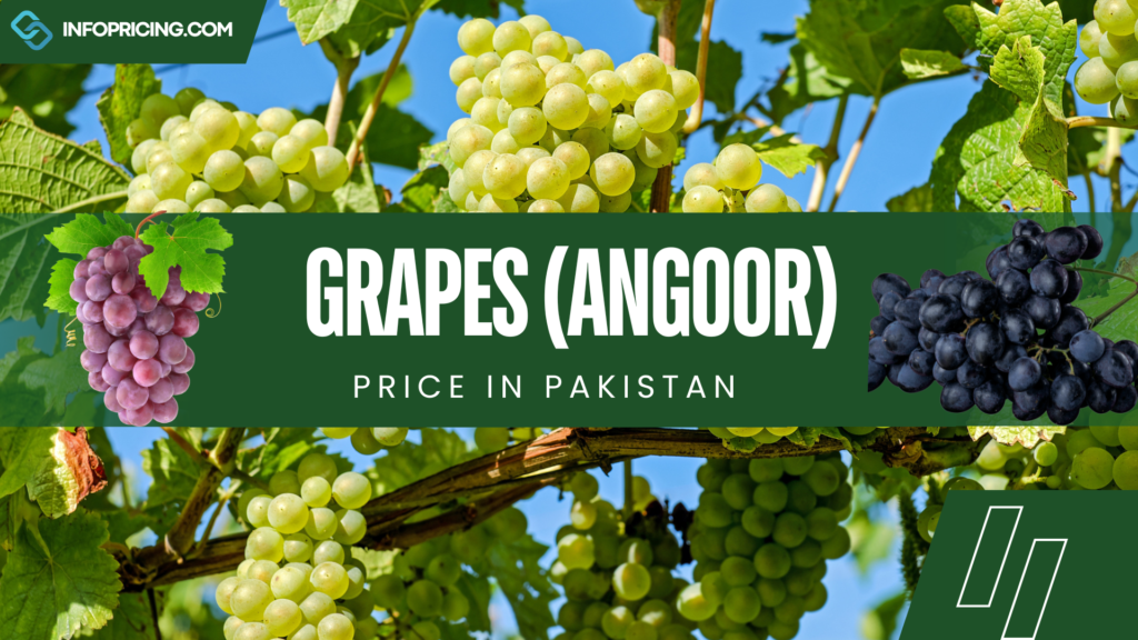 Grapes Price In Pakistan