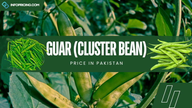 Guar Price In Pakistan