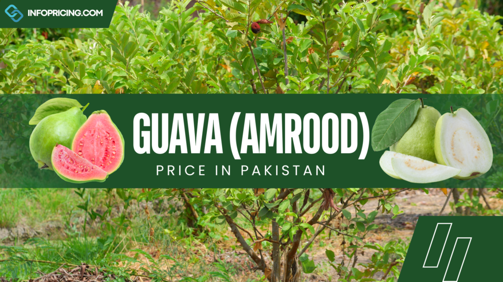 Guava Price In Pakistan