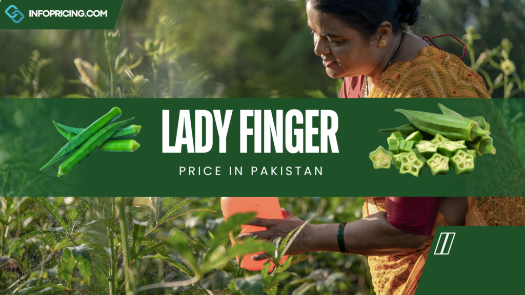 Lady Finger Price In Pakistan