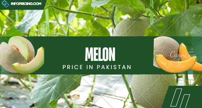 Melon Price in Pakistan