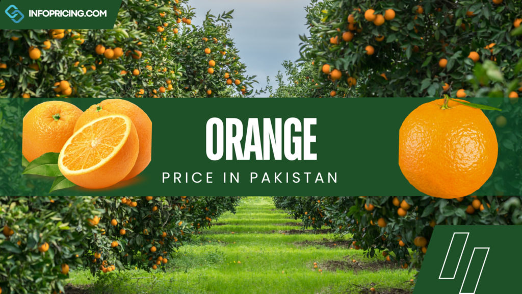 Orange Price in Pakistan