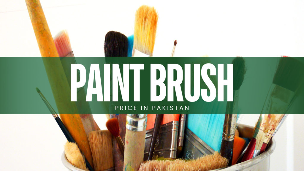 Paint Brush Price in Pakistan