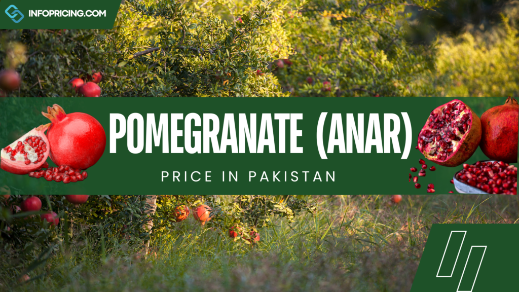 Pomegranate Price in Pakistan