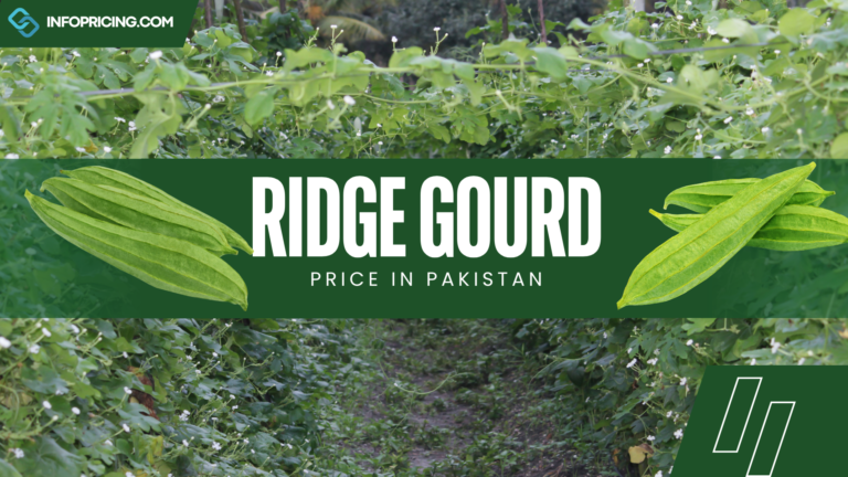 Ridge Gourd Price In Pakistan