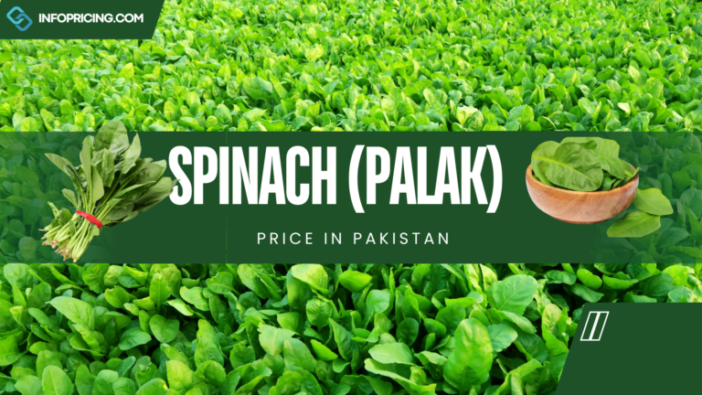 Spinach Price in Pakistan