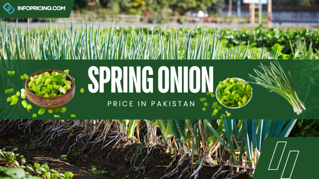 Spring Onion Price In Pakistan