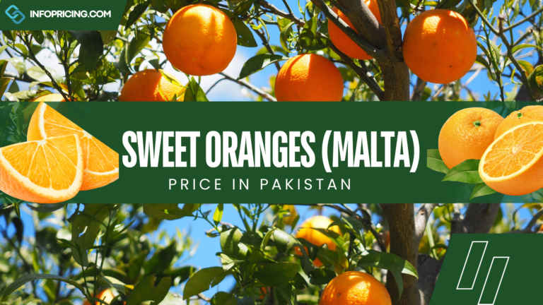 Sweet Oranges Price in Pakistan