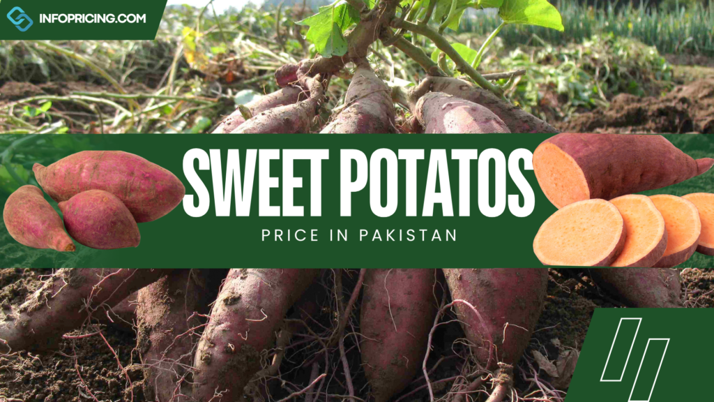 Sweet Potatoes Price in Pakistan