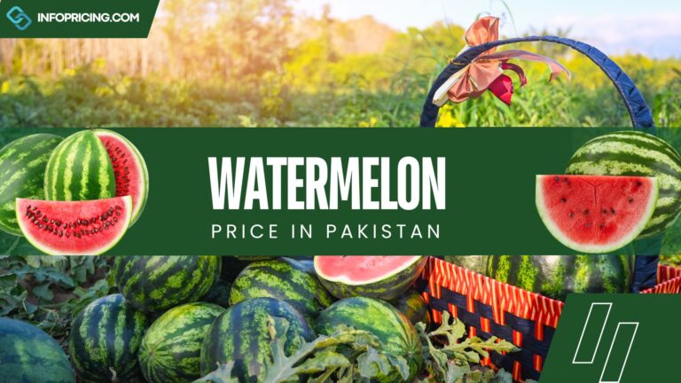 Watermelon Price in Pakistan