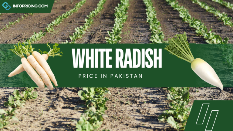 White Radish Price in Pakistan