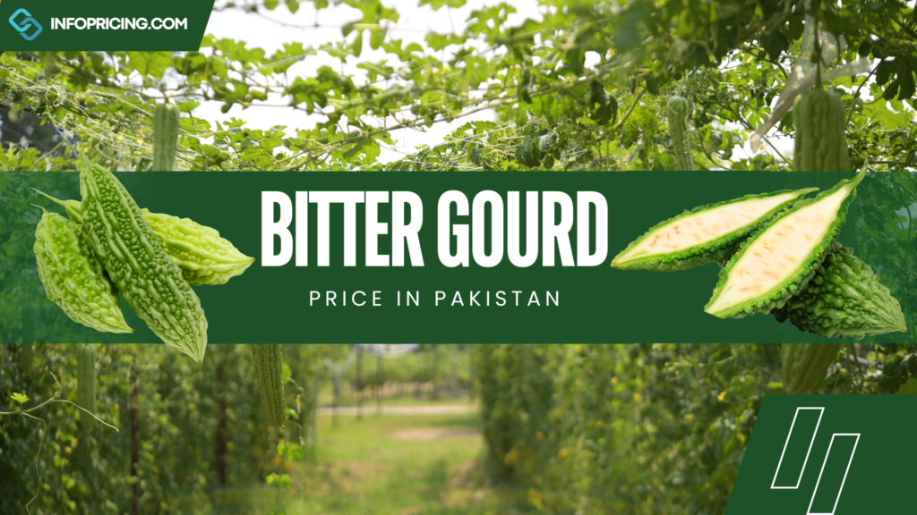 Bitter Gourd Price In Pakistan