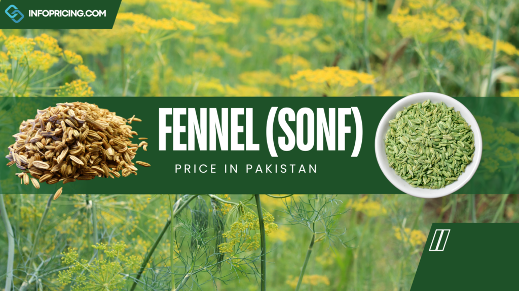 Fennel Price In Pakistan